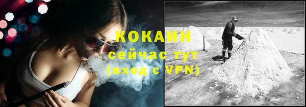 винт Краснослободск