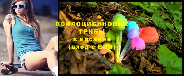 винт Краснослободск