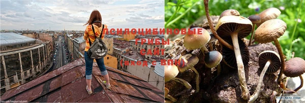 гашишное масло Тайга