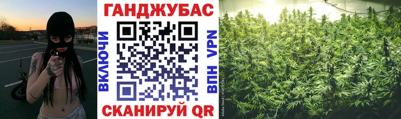 Бошки Шишки гибрид  закладки  Чудово 